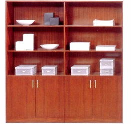 北京辦公家具定做與平臺開發(fā) 文件柜、書柜的現(xiàn)代化解決方案